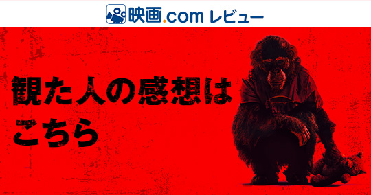 観た人の感想はこちら